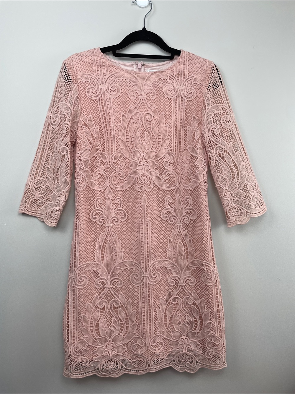 Ever New Scalloped Lace Mini Dress in Blush Pink